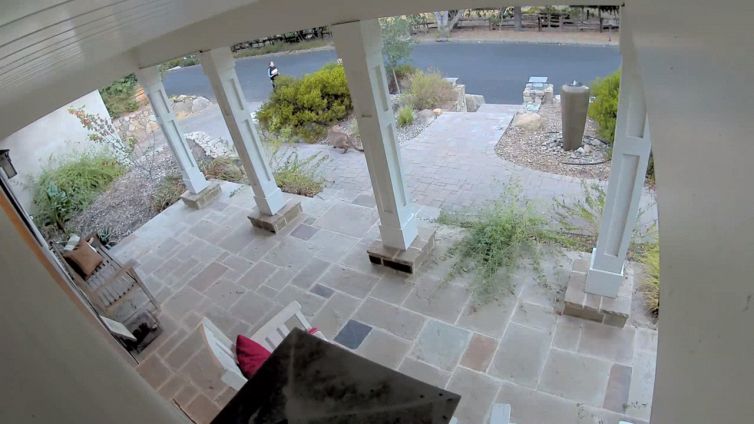 Il runner corre ignaro ma dietro il cespuglio c'è un pericolo mortale