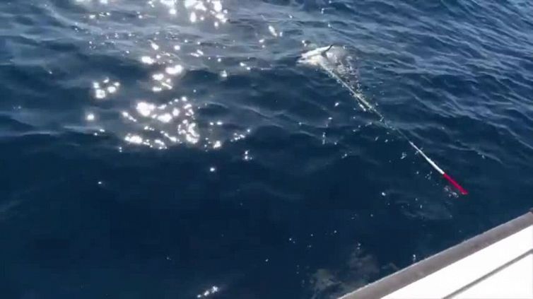 Pesca sportiva: Italia vince Big Game ed è Campione del Mondo 2021