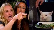 La donna che grida al gatto: la storia del meme dell'anno