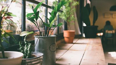 Come riciclare un barattolo di latta in un vaso (e non solo)