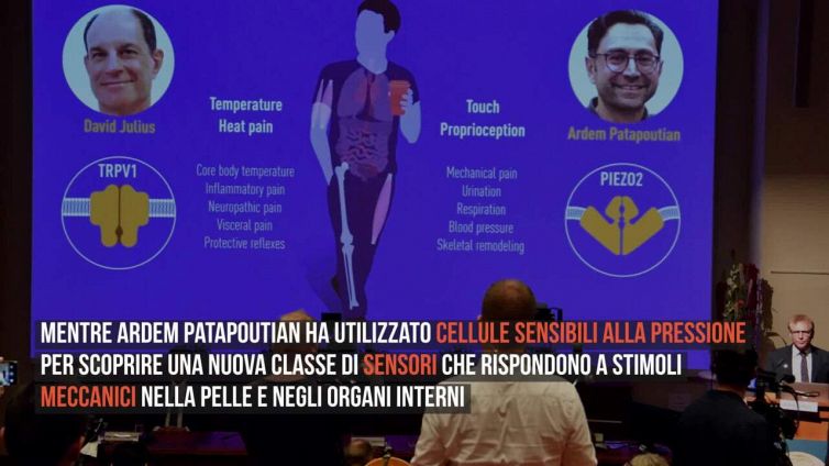 Nobel Medicina 2021, chi sono i vincitori e cosa hanno fatto