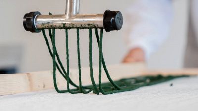 I primi spaghetti all'alga: biologici e a impatto zero