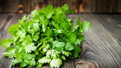 Il coriandolo, l'erba che ti depura dai metalli pesanti