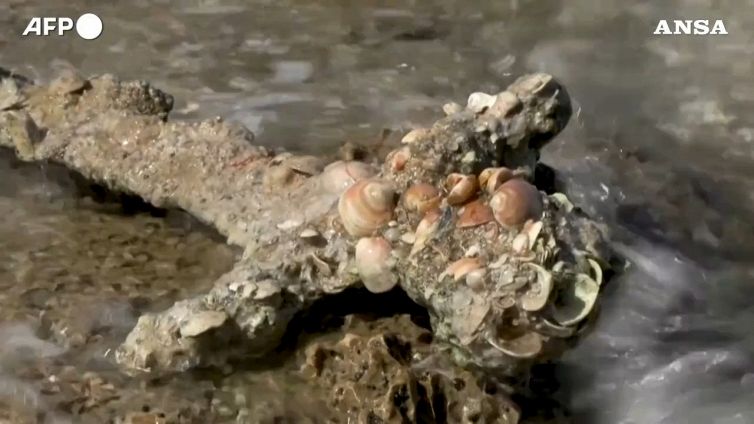 Israele, la spada crociata ritrovata in fondo al mare dopo 900 anni
