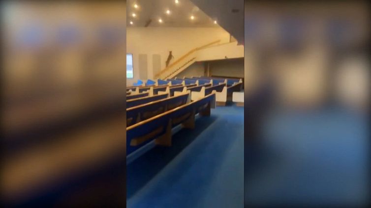 Parte la stagione della caccia: il cervo si 'rifugia' in chiesa