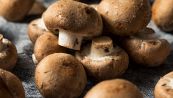 Attenzione ai funghi del supermercato: come scoprire se sono andati a male