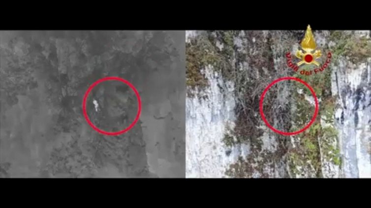Lo spettacolare salvataggio del cane