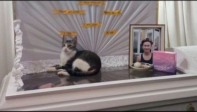Il commovente addio del gattino al suo padrone
