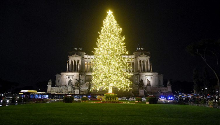 A Roma arriva l'albero di Natale, quanto costa il nuovo Spelacchio