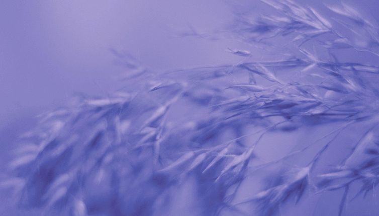 Colore Pantone 2022: il Very Peri sa di coraggio e creatività