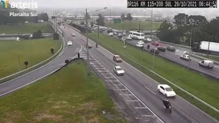 La videocamera inquadra il traffico: all'improvviso spunta la sorpresa
