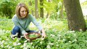 Foraging, qual è il nuovo trend green che ha origini antichissime