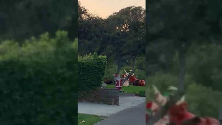 Orso se la prende con la renna gonfiabile: la scena da ridere