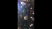 L'albero di Natale nasconde una sorpresa mortale