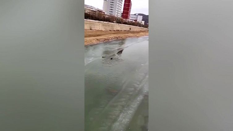 Il poliziotto eroe salva il bambino dal fiume ghiacciato