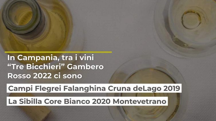 Vini d'Italia 2022: i migliori Regione per Regione