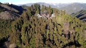 Tokyo, i fedeli pregano per il nuovo anno in un santuario in cima alla montagna