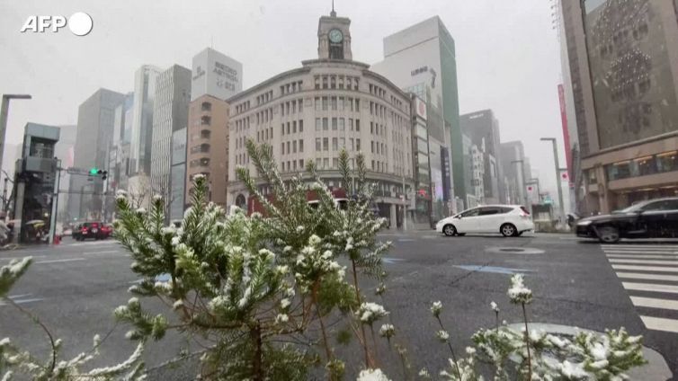 Giappone, la prima neve del 2022 imbianca Tokyo