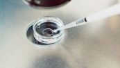 Covid e fertilità: la nuova scoperta