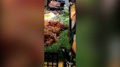 Topi a "banchetto", l'avvistamento denunciato al banco di un supermercato