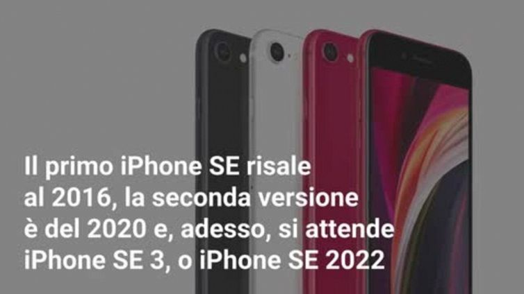 Il nuovo iPhone economico sta per arrivare
