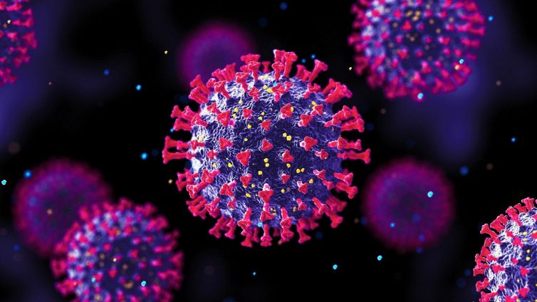 Omicron, carica virale: uno studio rileva dopo quanto c'è il picco