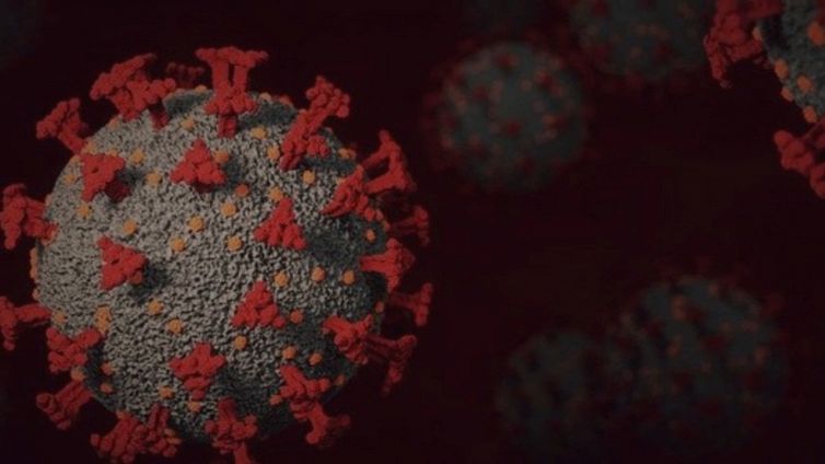 Covid, il numero dei morti è errato? Perché anche le stime sbagliano