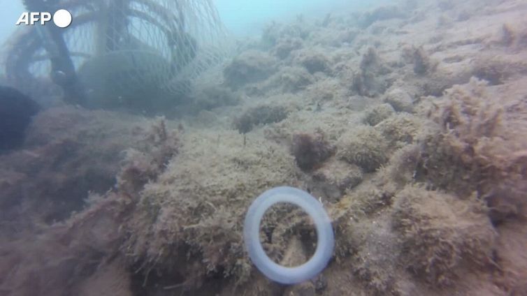 Fao, da serre a pesca troppa plastica in agroalimentare