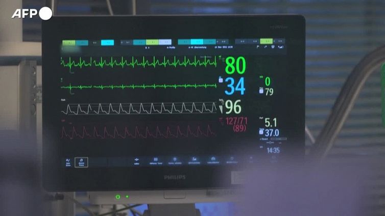 Covid, vaccino contro Omicron: partono i test di Pfizer