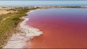 Laguna di Torrevieja, lo spettacolare lago rosa spagnolo