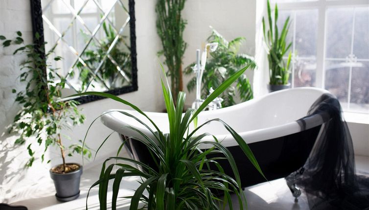 Bagno senza finestre, come fare per purificare l'aria