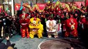 New York festeggia il Capodanno cinese, inizia l'anno della Tigre