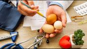 Mangiare uova fa bene o male?