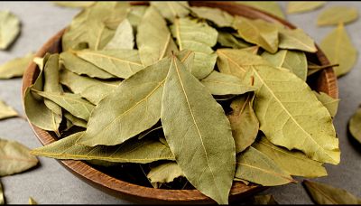 Non solo aroma: l'alloro è anche un antidepressivo naturale 