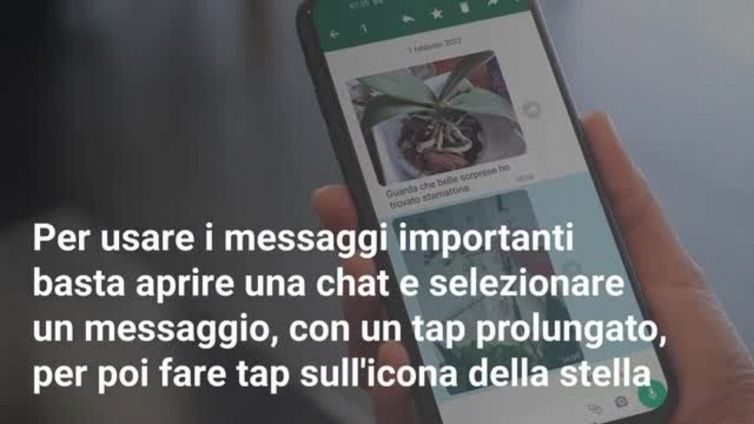 WhatsApp: come usare i Messaggi Importanti
