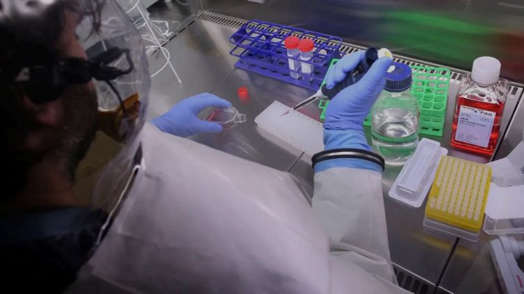 Cos’è la febbre di Lassa, trasmissione e sintomi