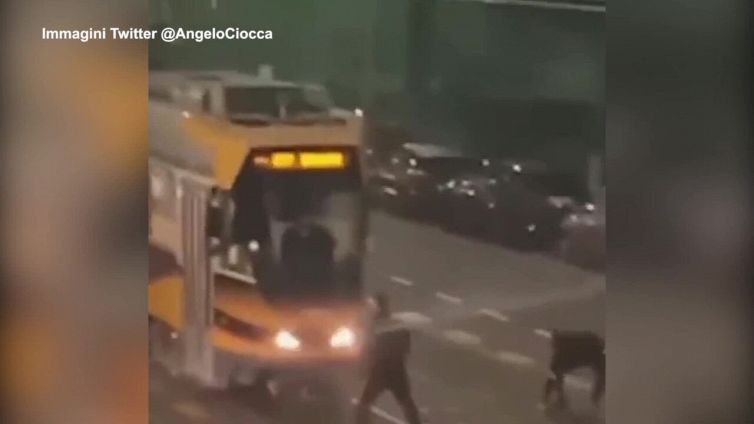 Milano, sassate contro il tram: il folle assalto della baby gang