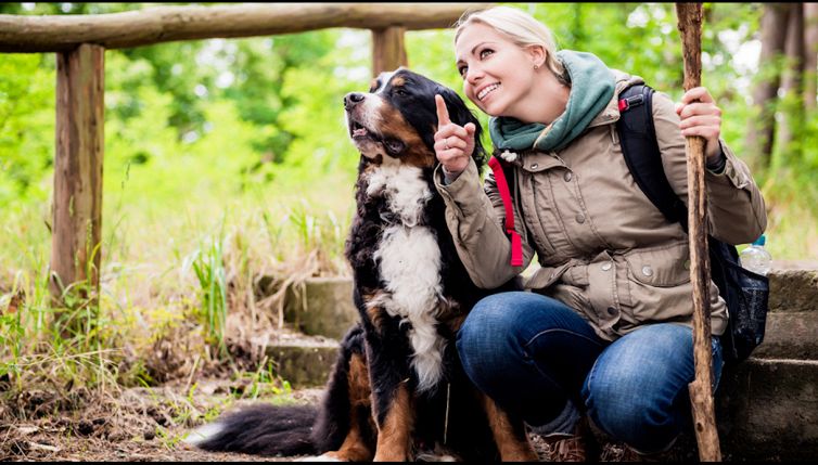 In montagna con Fido, cosa devi sapere