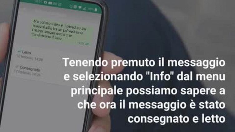 WhatsApp: come funziona la spunta blu