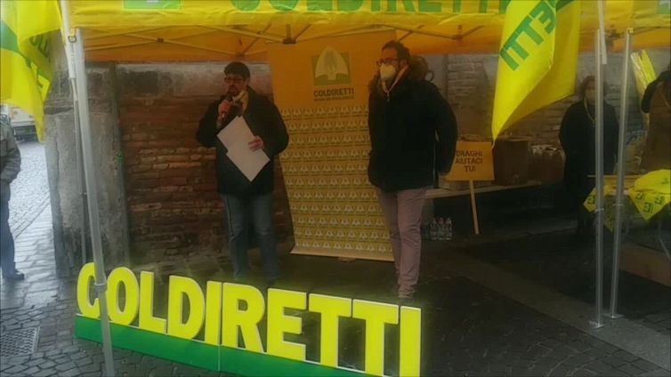 Allarme da Lodi: "Per risparmiare i macellatori comprano in zone dove c'e' peste suina"