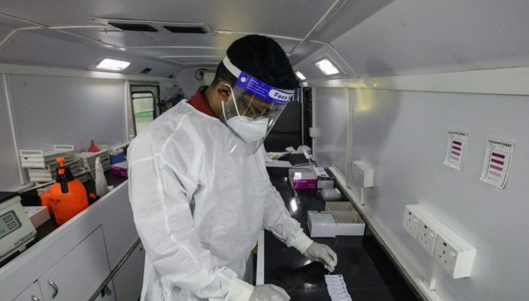 Coronavirus, nuova scoperta nei pipistrelli: quali sono i rischi