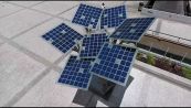 Alberi solari, la nuova alternativa energetica