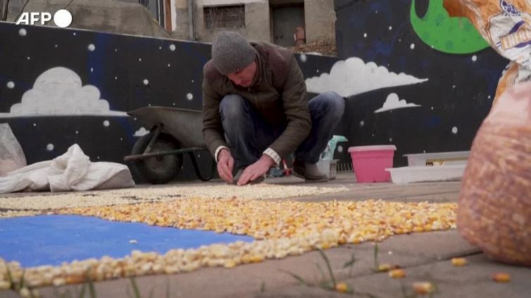 Ucraina, un ritratto di Zelensky fatto con i semi