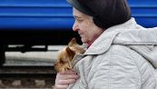 Guerra in Ucraina, l'Italia accoglie anche i cani e i gatti
