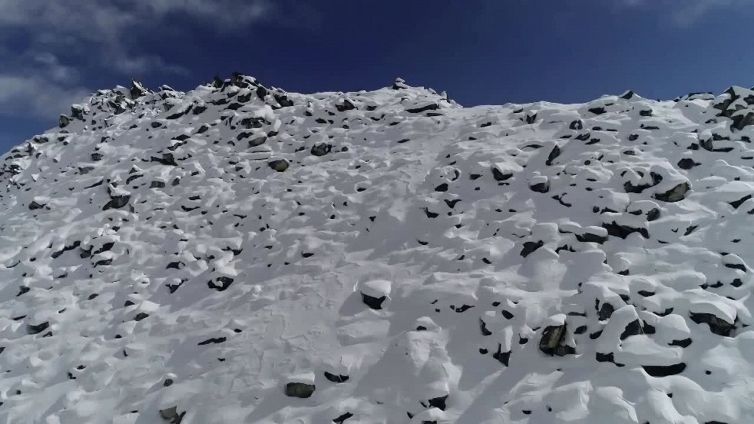 Cina, aumenta la protezione della fauna selvatica in Tibet