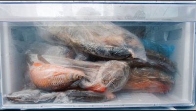 Pesce surgelato: cosa sapere per evitare brutte sorprese
