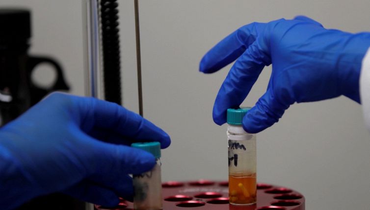 Allarme NeoCov, dopo il Covid in arrivo un nuovo virus?