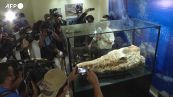 Lima, trovati i resti di una balena di 36 milioni di anni
