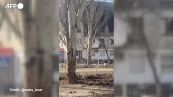 Ucraina, "passeggiata" a Mariupol fra case incendiate e auto semi-distrutte