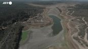 Cile, il lago e' colpito dalla siccita': gli avvoltoi piombano sulle carpe spiaggiate